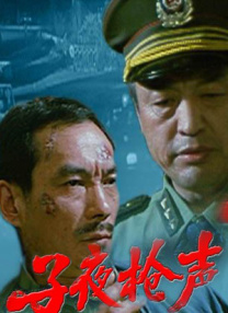 国产h视频在线观看